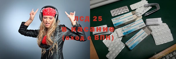 ПСИЛОЦИБИНОВЫЕ ГРИБЫ Осинники