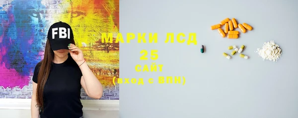 ПСИЛОЦИБИНОВЫЕ ГРИБЫ Осинники