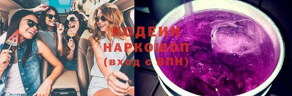ПСИЛОЦИБИНОВЫЕ ГРИБЫ Осинники