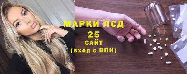 ПСИЛОЦИБИНОВЫЕ ГРИБЫ Осинники