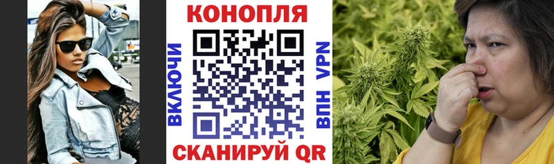 Шишки марихуана ГИДРОПОН  ссылка на мегу как войти  Разумное 